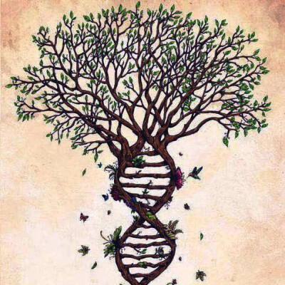 Le social est il réductible au biologique ? cover