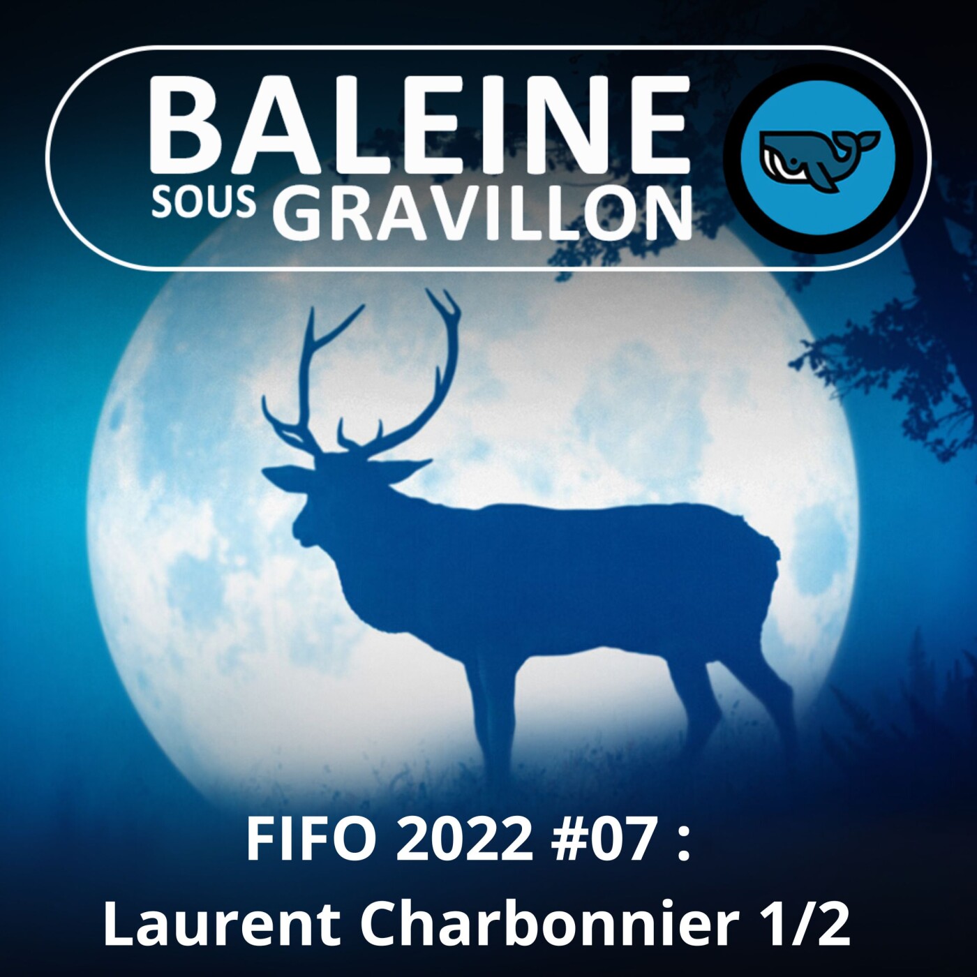 Baleine sous Gravillon