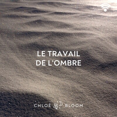 Le travail de l'ombre cover