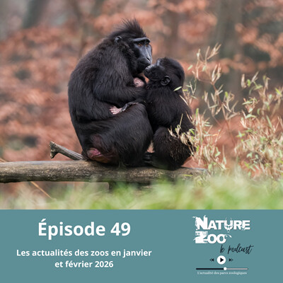 Épisode 49 (ACTU) - Les actualités en janvier et février 2026 cover