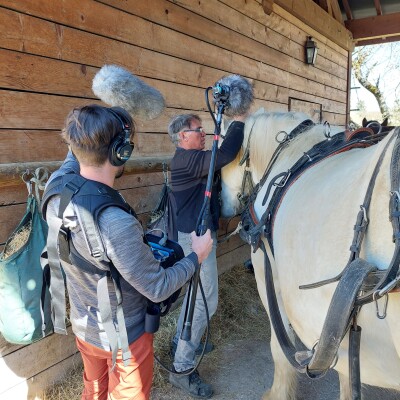 3. Au rythme du cheval : rencontre avec Denis Beaumelle, cocher de nos tournées itinérantes cover