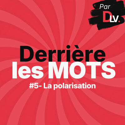 La polarisation, une notion qui a bon dos cover