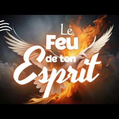 Parole et Évangile du jour | Jeudi 24 octobre •  Que le Christ habite en vos cœurs cover