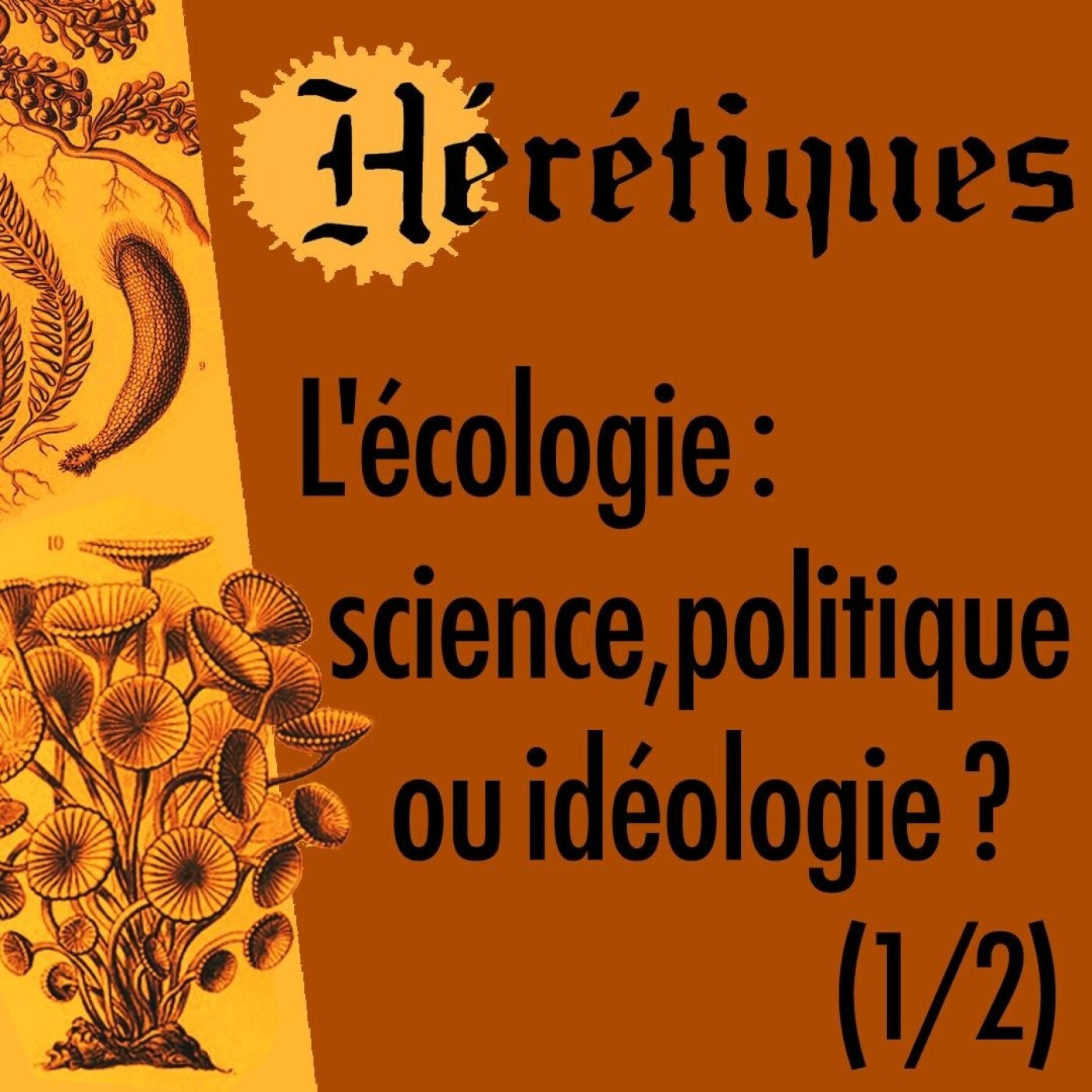 Hérétiques