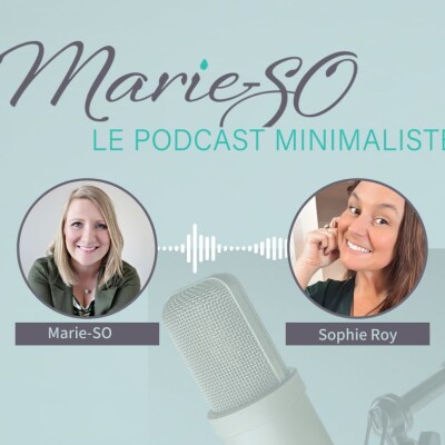 21 - Désencombrer son monde intérieur avec douceur cover