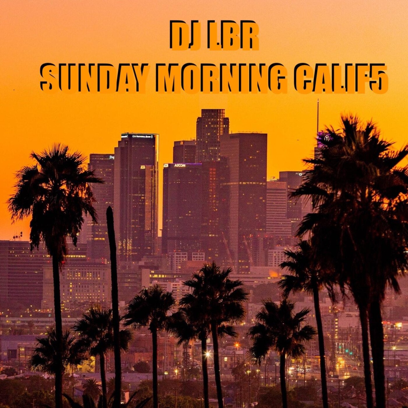 DJ LBR - THE OFFICIAL PODCAST