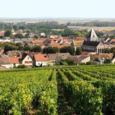 Découverte de Vertus en Champagne cover