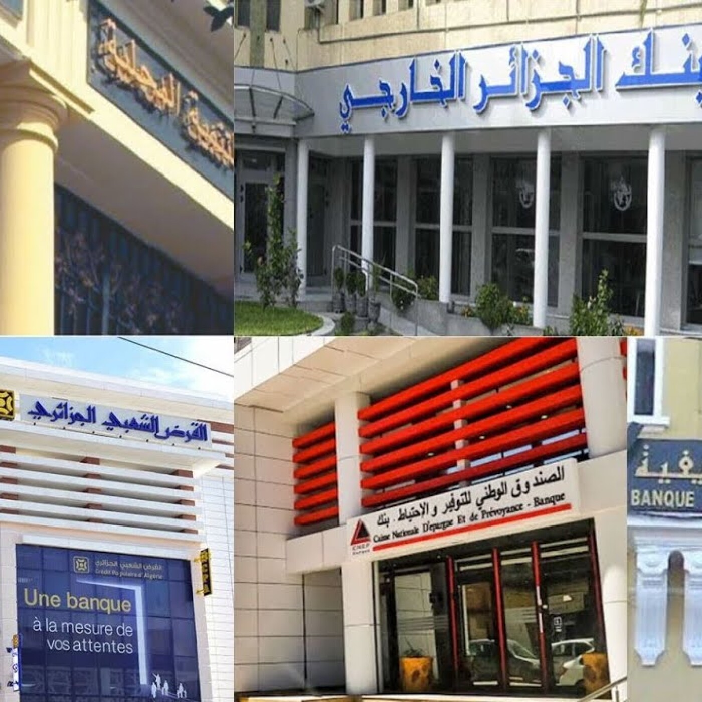 Faute de devises, les banques ne peuvent plus financer les importations des entreprises en Algérie episode artwork