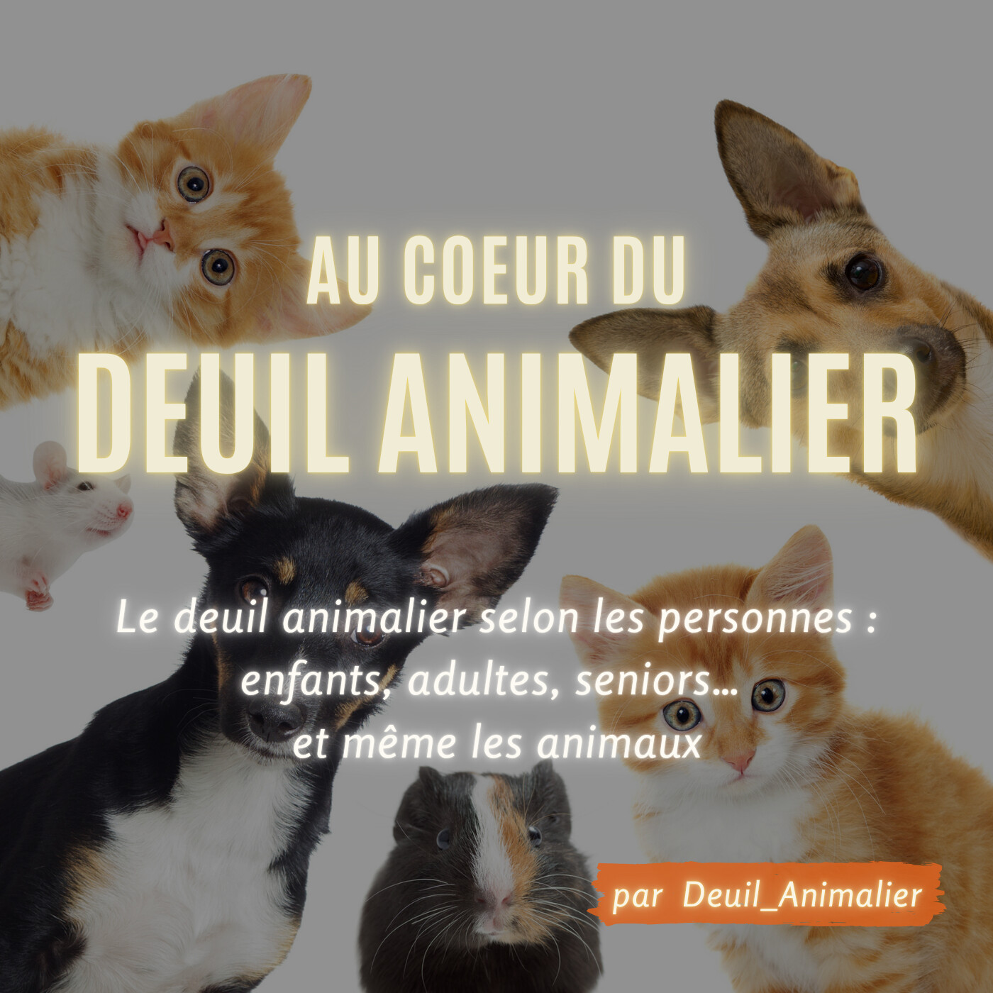 Au cœur du deuil animalier
