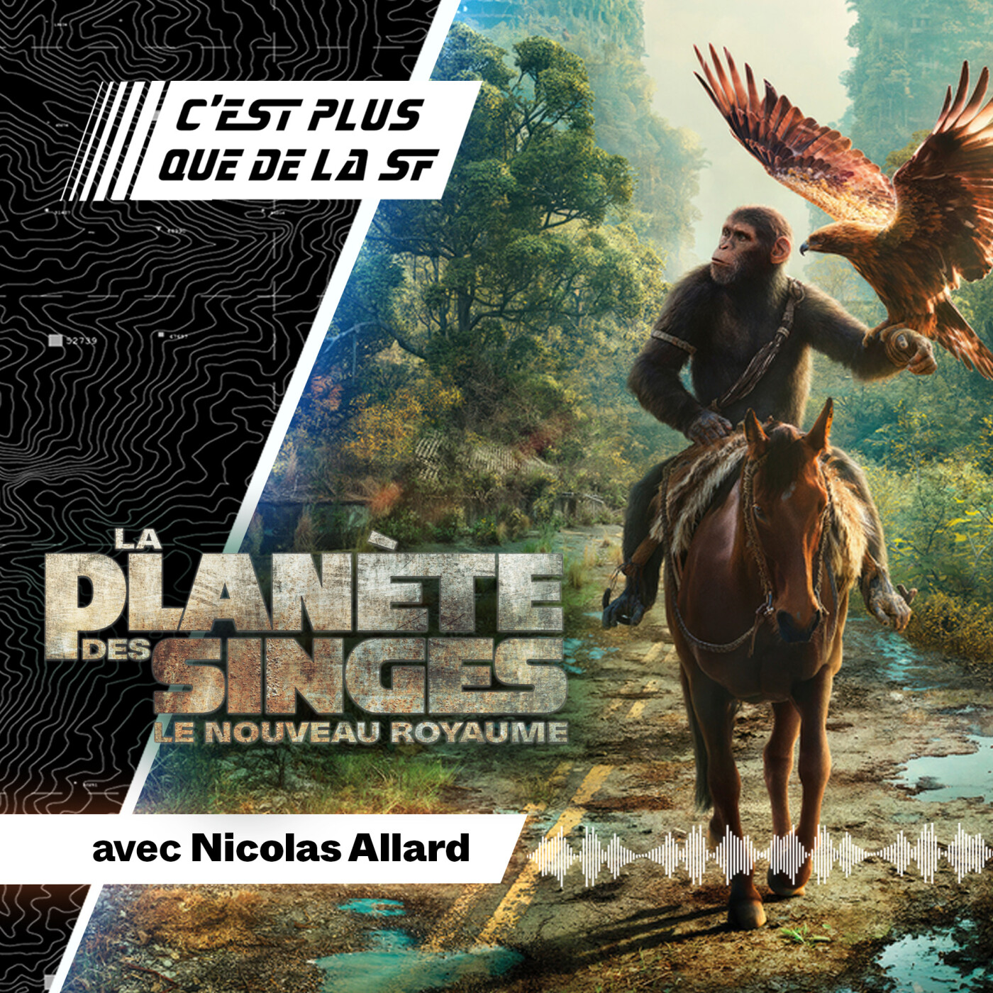 Que faut-il penser de La Planète des Singes : Le Nouveau Royaume ? - Nicolas Allard #206