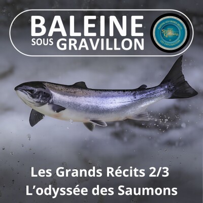 HORS-SÉRIE Les Grands Récits 2/3 : Les métamorphoses du Saumon (Bill François/Marc Mortelmans) cover
