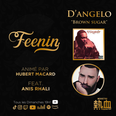 D’Angelo - Brown sugar feat Anis Rhali cover