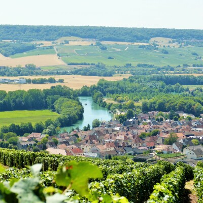 Panneaux marrons : Au cœur des Coteaux, Maisons et Caves de Champagne ! cover
