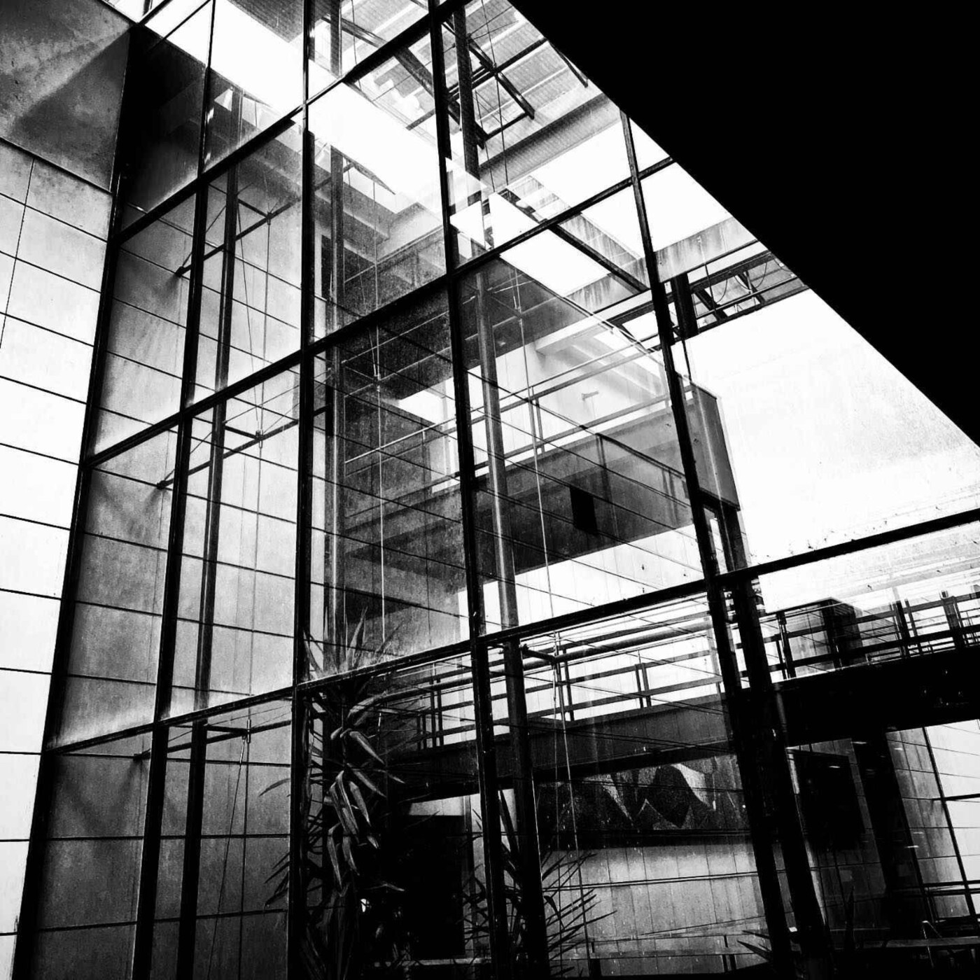 Action Sociale, Écoute tes Voix !