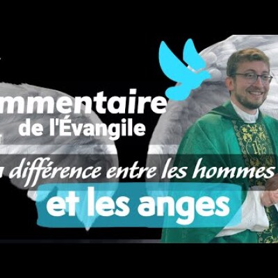"Je voyais Satan tomber du ciel comme l'éclaire" Commentaire de l'Evangile | Homélie — Dimanche 3 cover