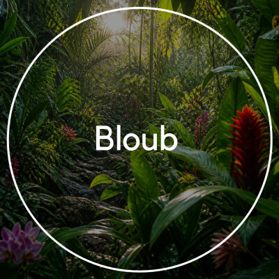 Bloub cover