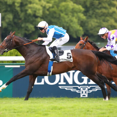 Nouvel épisode de #Boomerturf, le podcast qui vous emmène aux courses - Invité spécial : PY Bureau, manager des Wertheimer cover