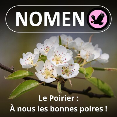 S03E36 Faire le Poirier cover