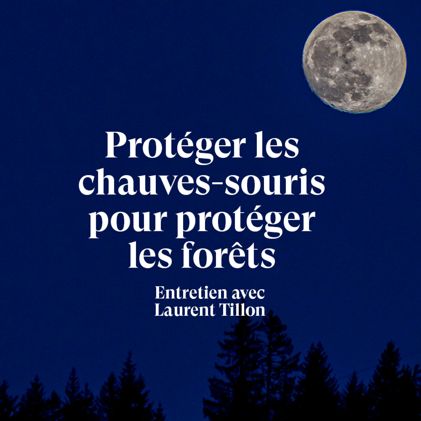 La vie partout