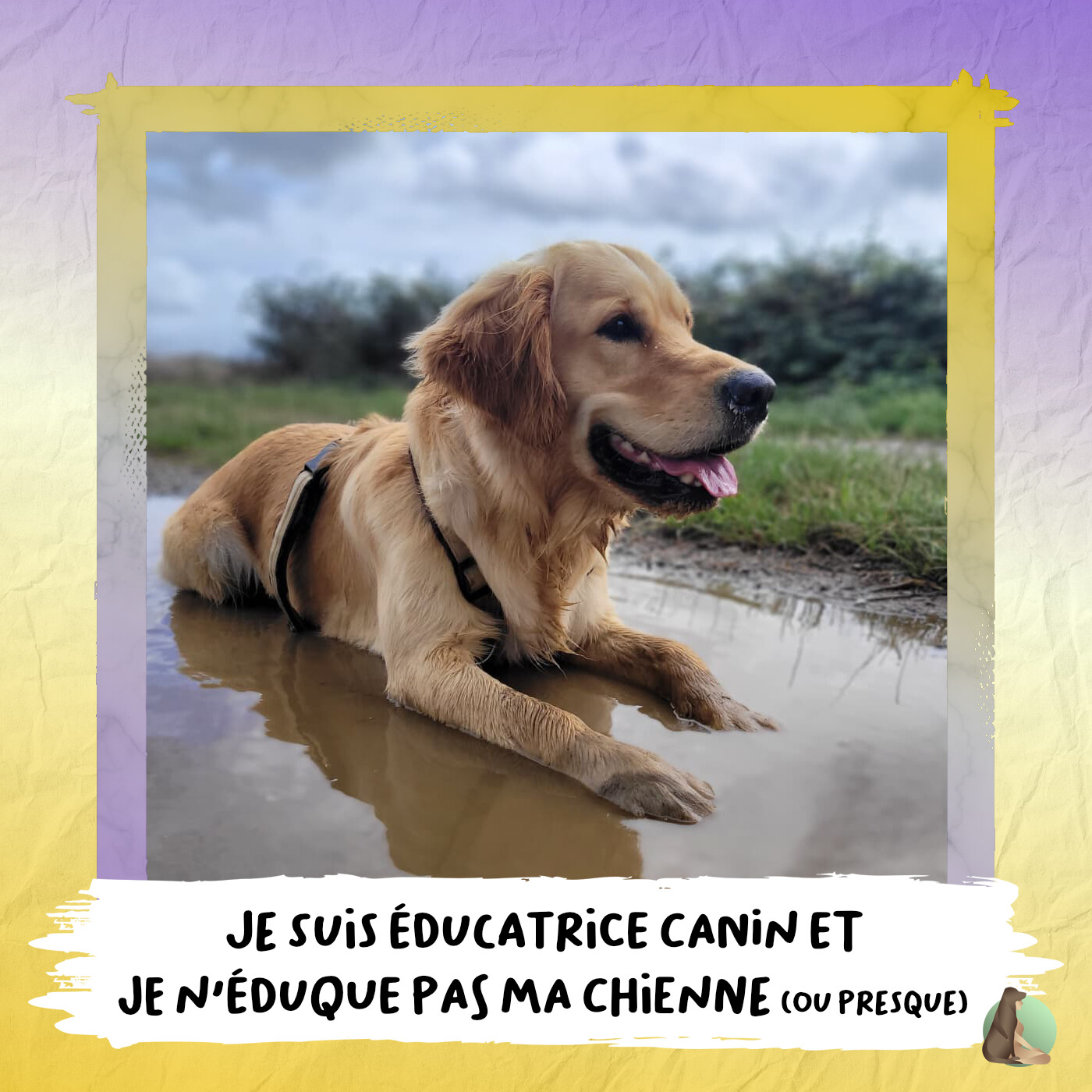 4380 jours avec son chien