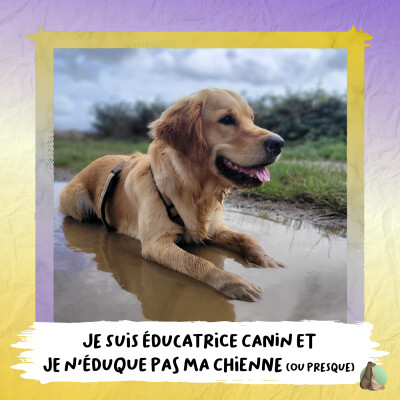 10. Je suis éducatrice canin... Et je n'éduque pas ma chienne (ou presque) ! 🫢 cover
