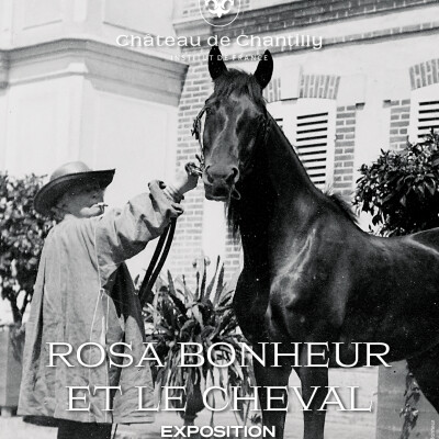 Chantilly célèbre l’univers de Rosa Bonheur ! cover