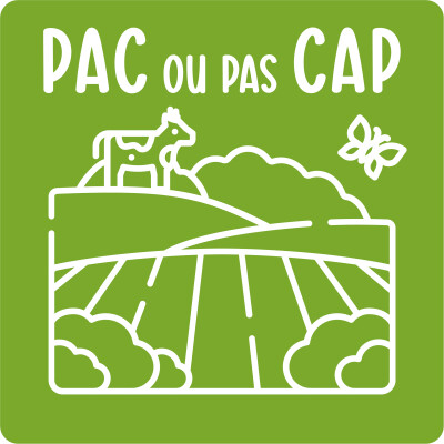 TEASER : quelle réflexion derrière un changement de race bovine ? [ARCHITECTURE VERTE] cover