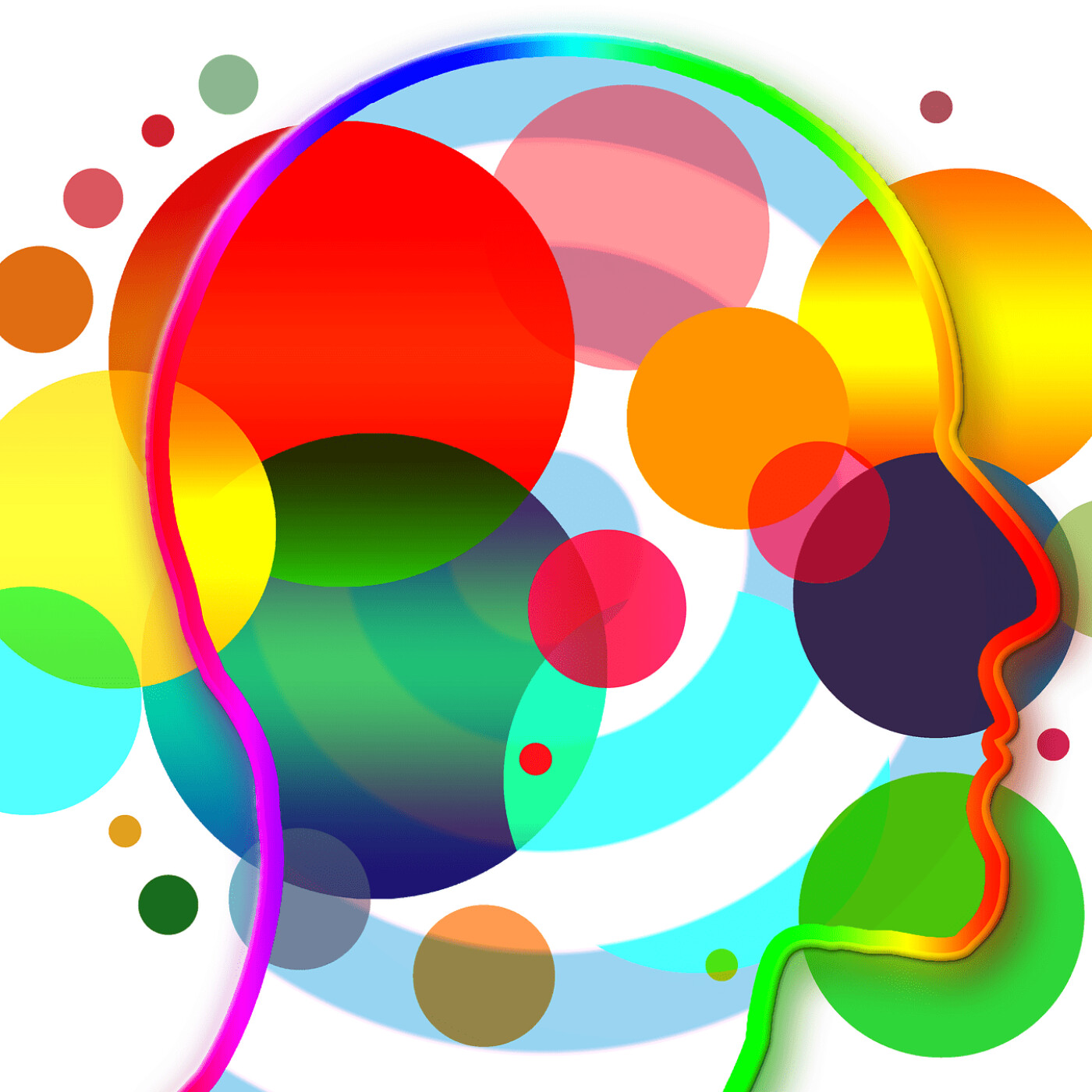 #43 L'hypersensibilité