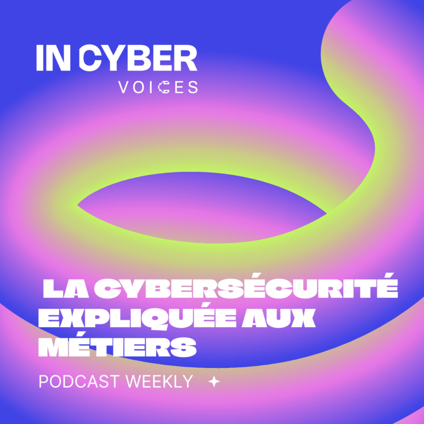 INCYBER Voices