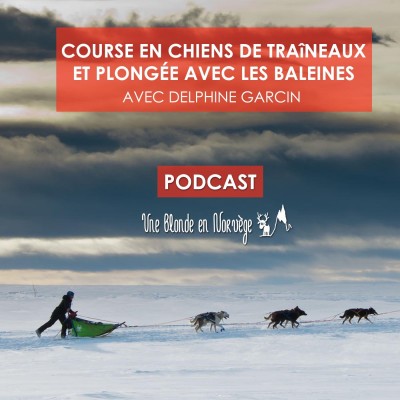 21 - Course en chiens de traîneaux et plongée avec les baleines avec Delphine Garcin cover