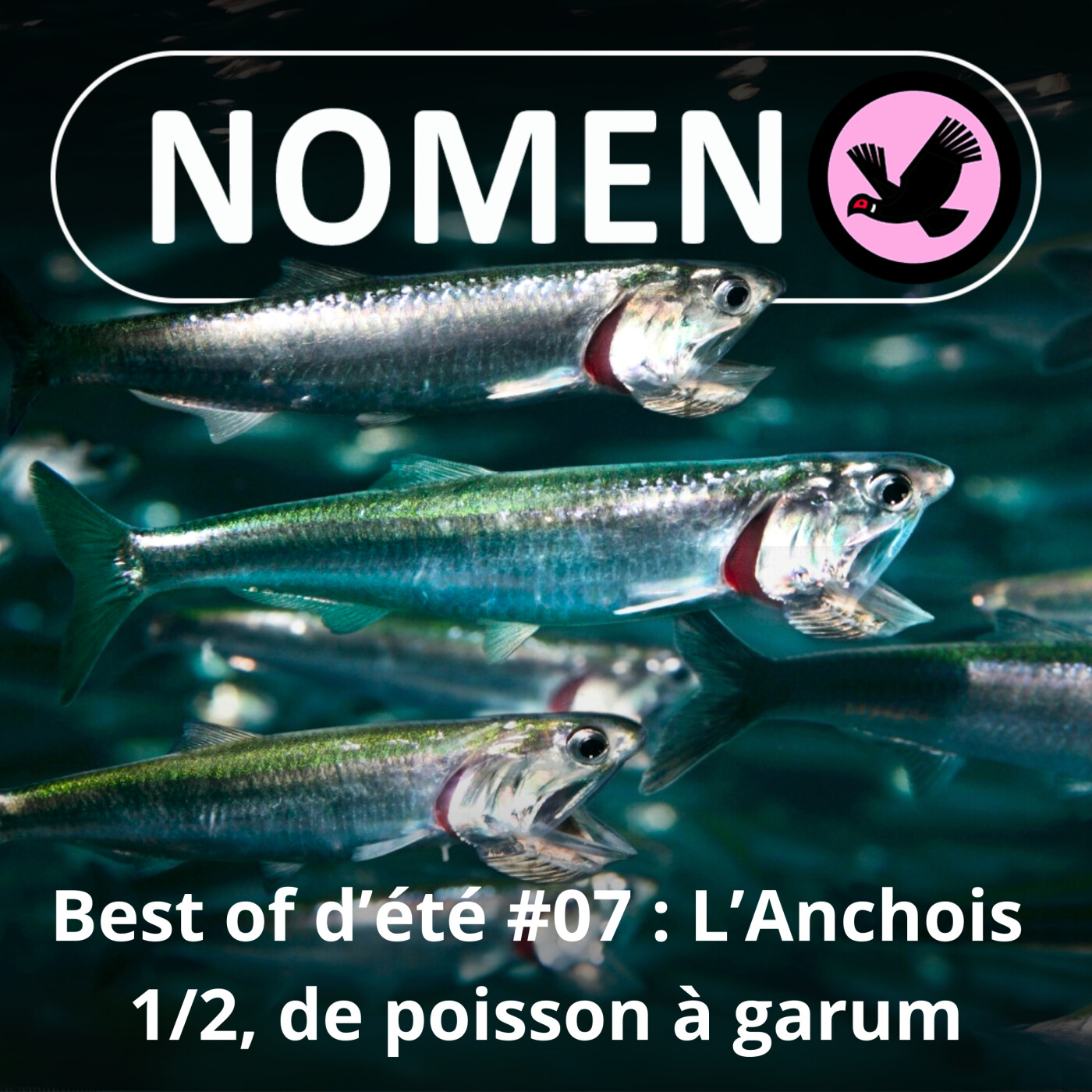 BEST OF D'ÉTÉ #07 : L’Anchois 1/2, petit poisson deviendra ... garum