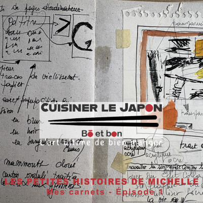 LES PETITES HISTOIRES DE MICHELLE - Mes carnets - Épisode 1 cover