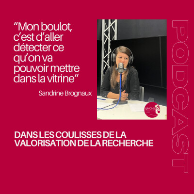 [EXTRAIT] “Tenir le magasin” de la recherche universitaire cover