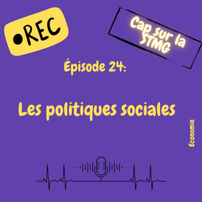 Episode 24 : Les politiques sociales cover