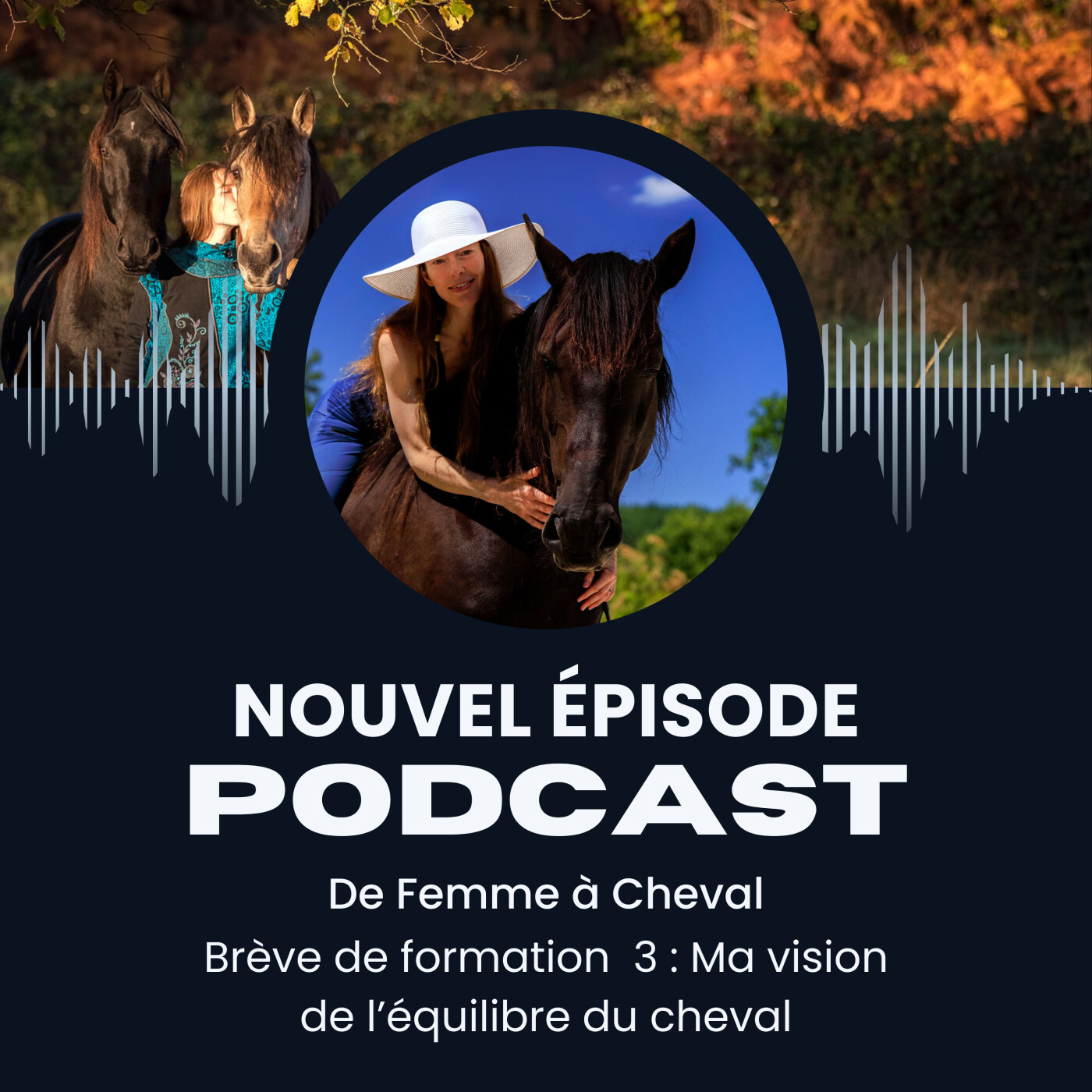 #3 - Brève de formation : Les 3 équilibres du cheval episode artwork