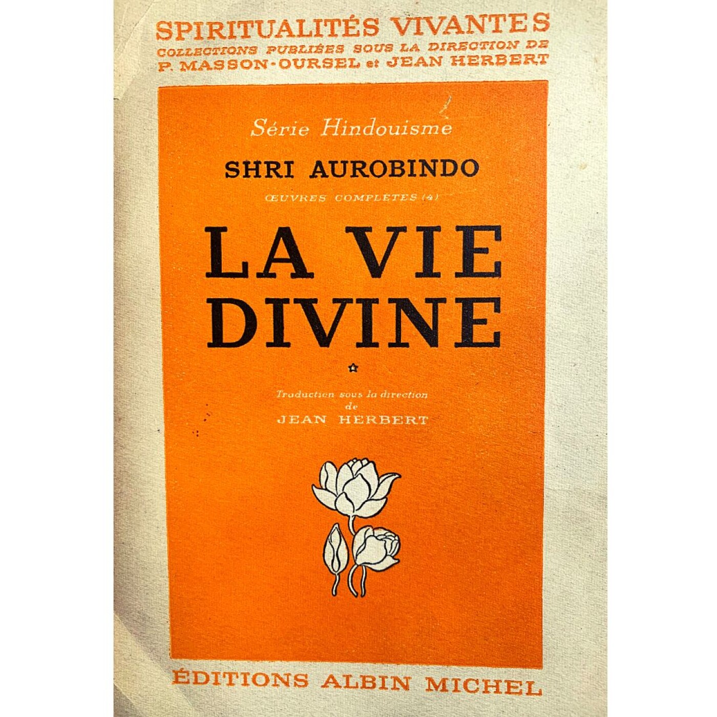 LIVRE AUDIO LA VIE DIVINE | Shri Aurobindo | LE PUR EXISTANT (CH. 9/28)