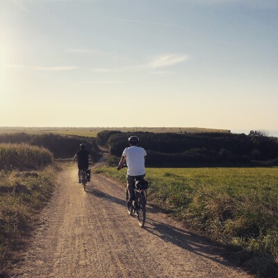 Une petite reine gourmande ! cover