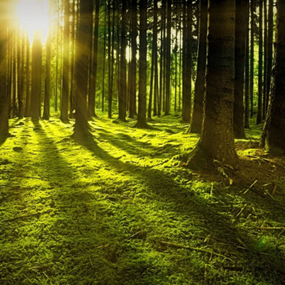 Hauts-de-France : 10 kilomètres de rando dans l'Avesnois cover