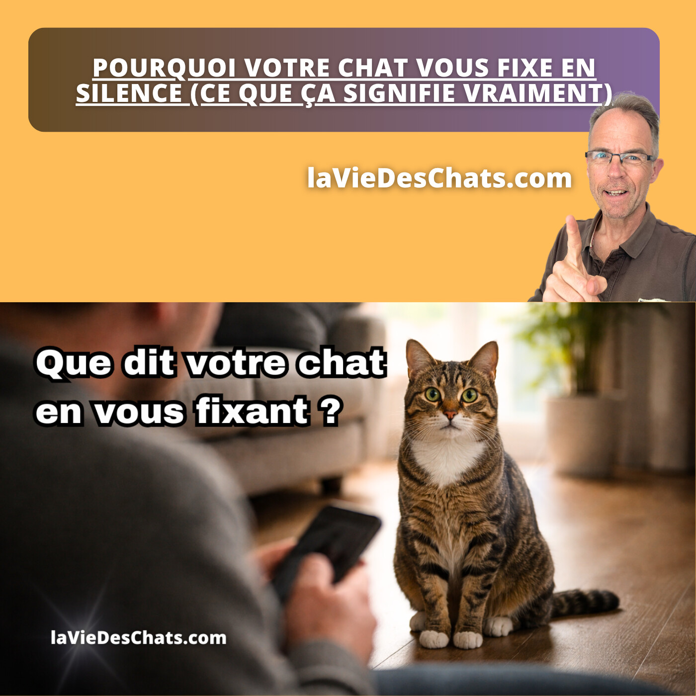 POURQUOI VOTRE CHAT VOUS FIXE EN SILENCE (CE QUE ÇA SIGNIFIE VRAIMENT)