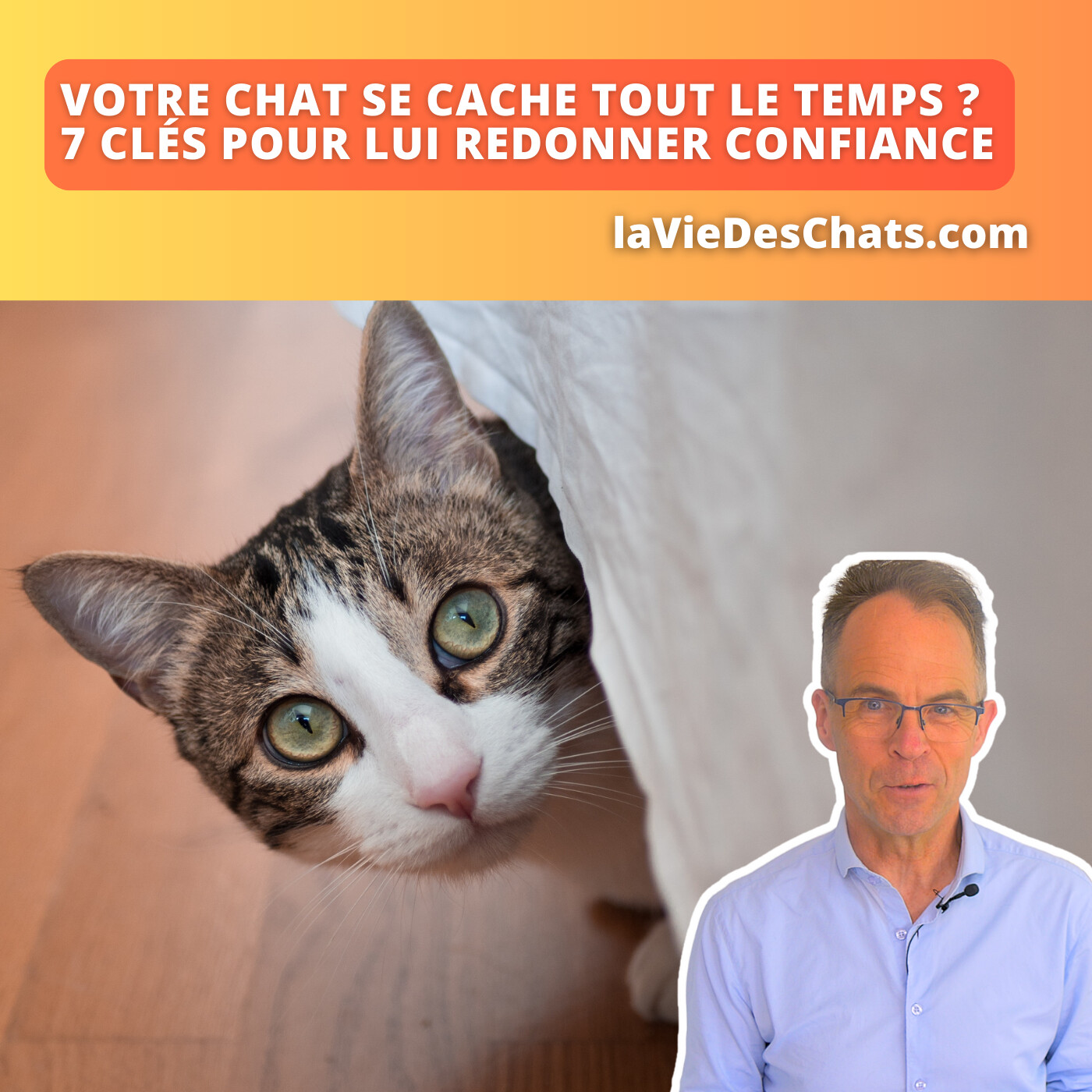 laVieDesChats