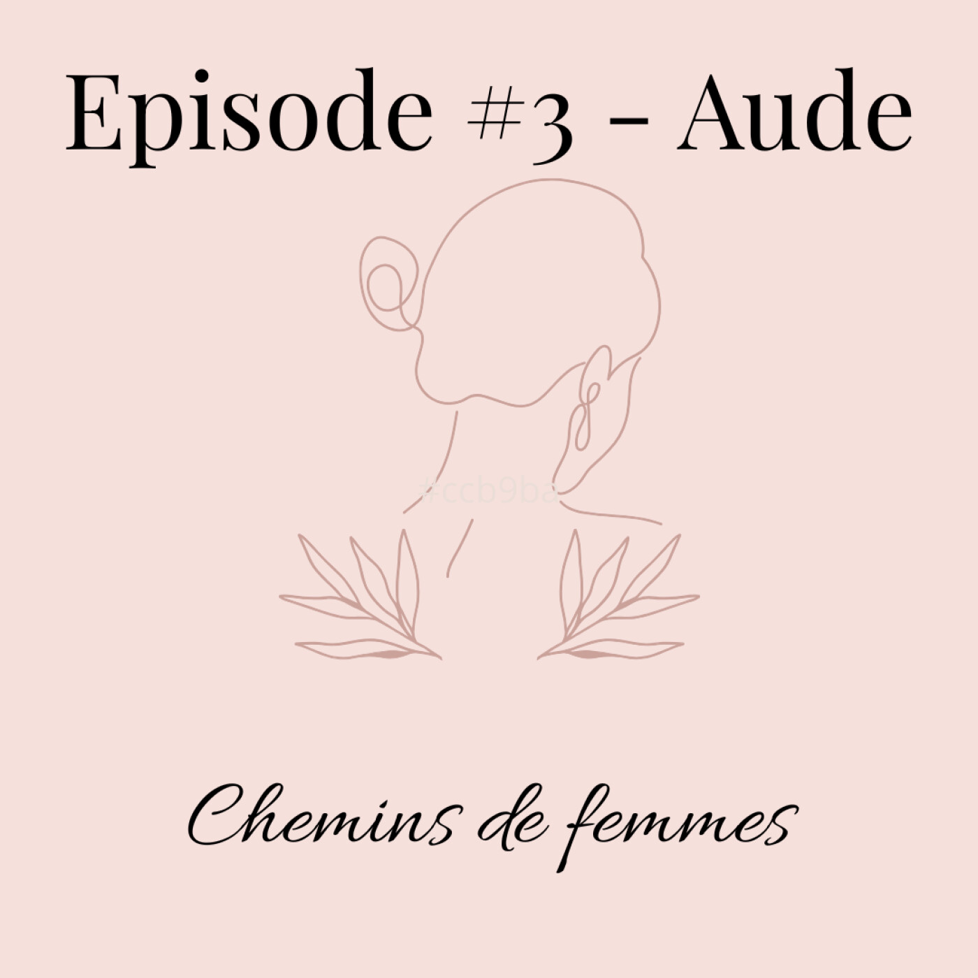Chemins de Femmes #3 - Aude episode artwork