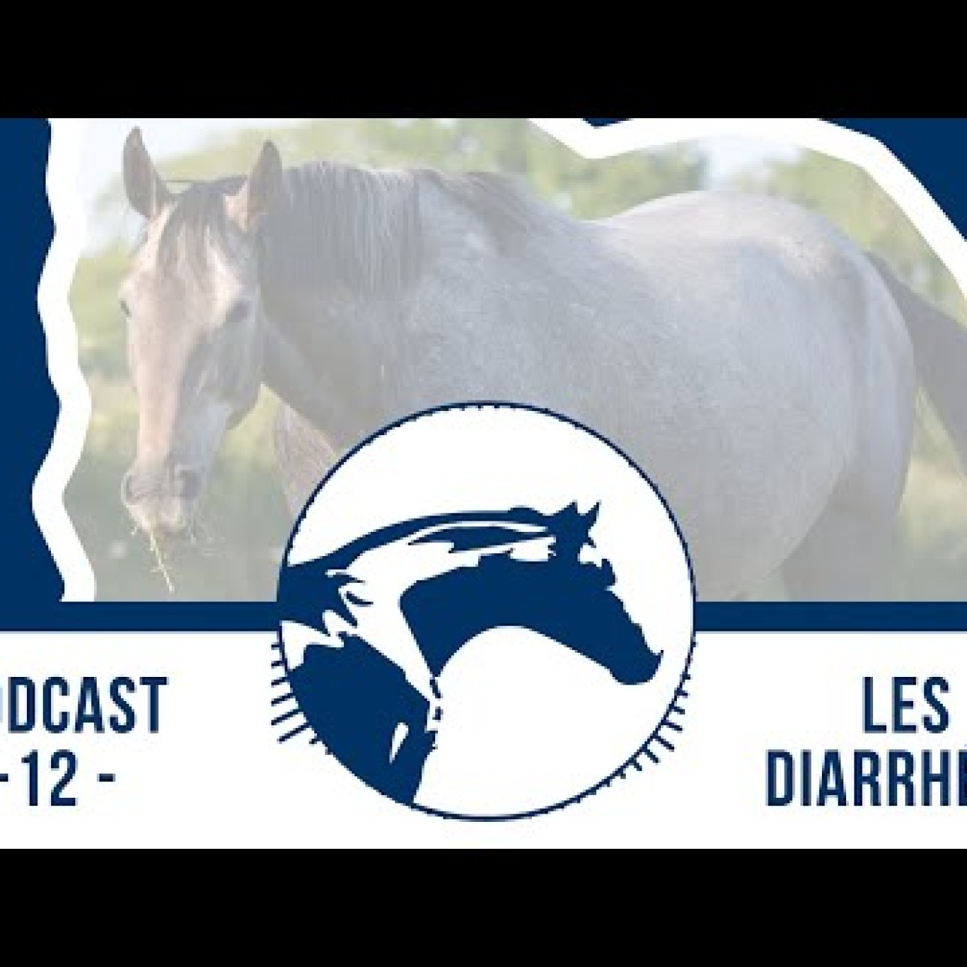 Podcasts vétos Reverdy Nutrition Équine 🎙