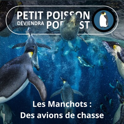S05E14 Les Manchots : Les avions de chasse des fonds marins (Mathilde Chevallay) cover