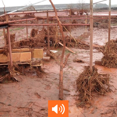 Pollution par boues rouges en Hongrie cover