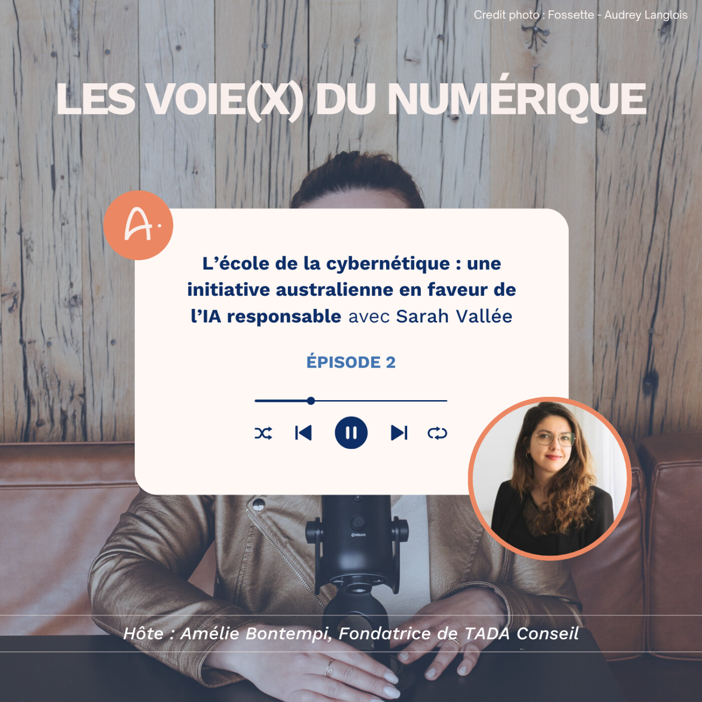 Les Voie(x) du Numérique