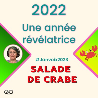 2022, une année révélatrice  - E 28 - #Janvoix2023 cover