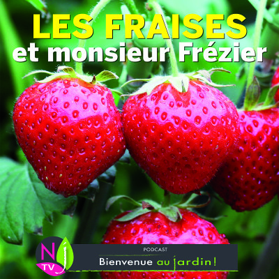 HISTOIRES BOTANIQUES: L’HISTOIRE DU FRAISIER À GROS FRUITS cover