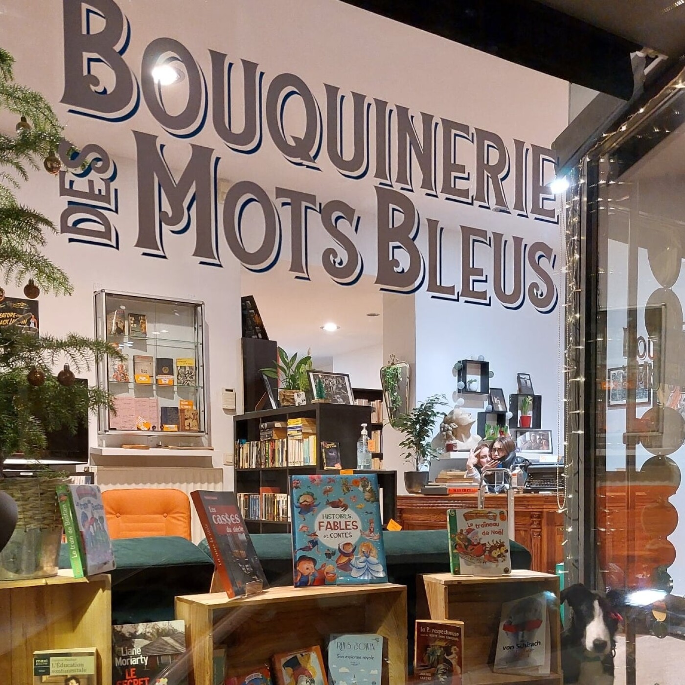 A la découverte de la Bouquinerie Des Mots Bleus. Un certain goût pour le noir #218 episode artwork