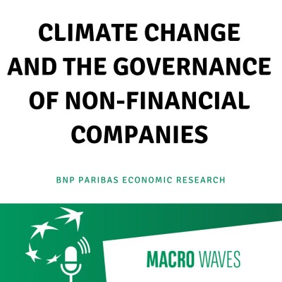 #03 – Climate change and the governance of non-financial companies cover