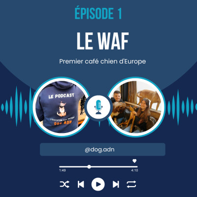 #1 Le Waf, premier café chien d'Europe cover